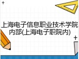 上海电子信息职业技术学院内部(上海电子职院内)
