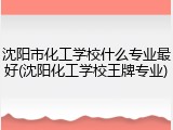 沈阳市化工学校什么专业最好(沈阳化工学校王牌专业)