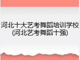 河北十大艺考舞蹈培训学校(河北艺考舞蹈十强)