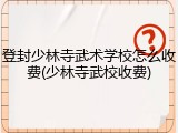 登封少林寺武术学校怎么收费(少林寺武校收费)