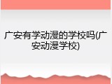 广安有学动漫的学校吗(广安动漫学校)