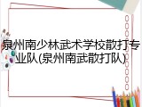泉州南少林武术学校散打专业队(泉州南武散打队)