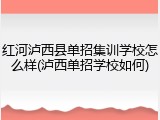 红河泸西县单招集训学校怎么样(泸西单招学校如何)