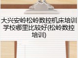 大兴安岭松岭数控机床培训学校哪里比较好(松岭数控培训)