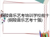 铜陵音乐艺考培训学校前十(铜陵音乐艺考十强)