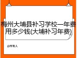 梅州大埔县补习学校一年费用多少钱(大埔补习年费)