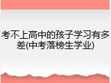 考不上高中的孩子学习有多差(中考落榜生学业)