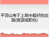 平顶山考不上高中最好的出路(复读或职校)