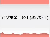 武汉市第一轻工(武汉轻工)