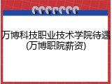 万博科技职业技术学院待遇(万博职院薪资)