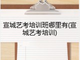 宣城艺考培训班哪里有(宣城艺考培训)