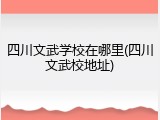 四川文武学校在哪里(四川文武校地址)