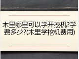 木里哪里可以学开挖机?学费多少?(木里学挖机费用)