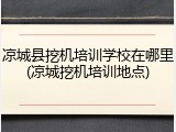 凉城县挖机培训学校在哪里(凉城挖机培训地点)