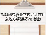 邯郸魏县农业学校地址在什么地方(魏县农校地址)