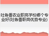 吐鲁番农业职高学校哪个专业好(吐鲁番职高优势专业)