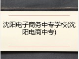 沈阳电子商务中专学校(沈阳电商中专)