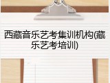 西藏音乐艺考集训机构(藏乐艺考培训)