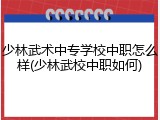 少林武术中专学校中职怎么样(少林武校中职如何)