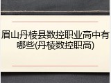 眉山丹棱县数控职业高中有哪些(丹棱数控职高)