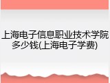 上海电子信息职业技术学院多少钱(上海电子学费)