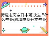 跨境电商专升本可以选择什么专业(跨境电商升本专业)