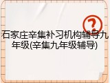 石家庄辛集补习机构辅导九年级(辛集九年级辅导)