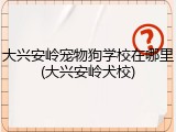 大兴安岭宠物狗学校在哪里(大兴安岭犬校)