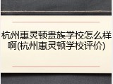 杭州惠灵顿贵族学校怎么样啊(杭州惠灵顿学校评价)