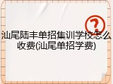 汕尾陆丰单招集训学校怎么收费(汕尾单招学费)
