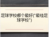 足球学校哪个最好("最佳足球学校")