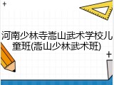 河南少林寺嵩山武术学校儿童班(嵩山少林武术班)