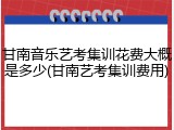 甘南音乐艺考集训花费大概是多少(甘南艺考集训费用)