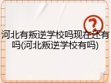 河北有叛逆学校吗现在还有吗(河北叛逆学校有吗)