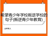 希望青少年学校叛逆学校的句子(叛逆青少年教育)