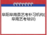 阜阳阜南县艺考补习机构(阜南艺考培训)