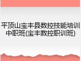 平顶山宝丰县数控技能培训中职班(宝丰数控职训班)