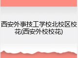 西安外事技工学校北校区校花(西安外校校花)