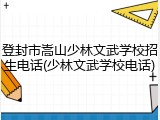 登封市嵩山少林文武学校招生电话(少林文武学校电话)