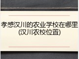 孝感汉川的农业学校在哪里(汉川农校位置)