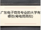 广东电子商务专业的大学有哪些(粤电商高校)