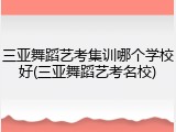 三亚舞蹈艺考集训哪个学校好(三亚舞蹈艺考名校)