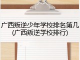 广西叛逆少年学校排名第几(广西叛逆学校排行)