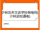 少林功夫文武学校有电吗(少林武校通电)