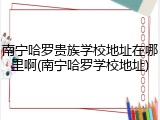 南宁哈罗贵族学校地址在哪里啊(南宁哈罗学校地址)