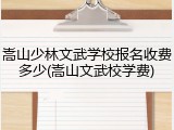 嵩山少林文武学校报名收费多少(嵩山文武校学费)