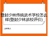 登封少林传统武术学校怎么样(登封少林武校评价)