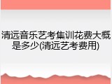 清远音乐艺考集训花费大概是多少(清远艺考费用)