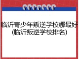 临沂青少年叛逆学校哪最好(临沂叛逆学校排名)