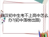 武汉初中生考不上高中怎么办?(初中落榜出路)